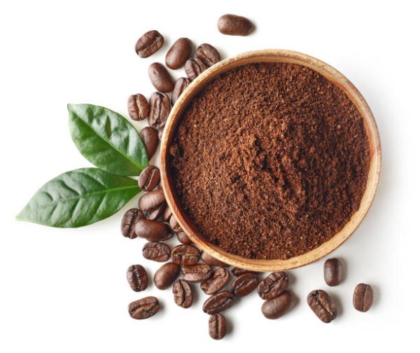 Robusta Coffee - Premium